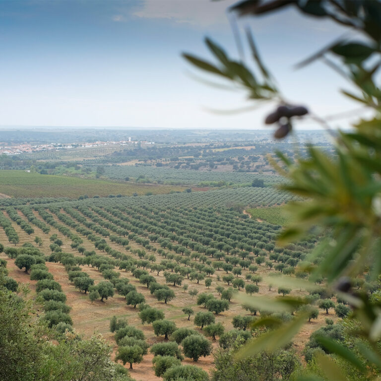 Visita do IPBeja