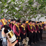 Vidigueira Vinho
